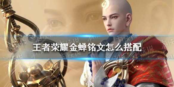 王者荣耀金蝉铭文怎么搭配金蝉铭文搭配推荐