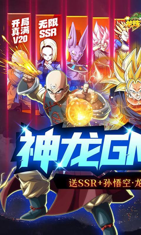 龙珠世界(神龙GM无限刷充)游戏截图1