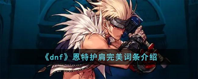 《dnf》恩特护肩完美词条详解 《dnf》恩特护肩完美词条详解