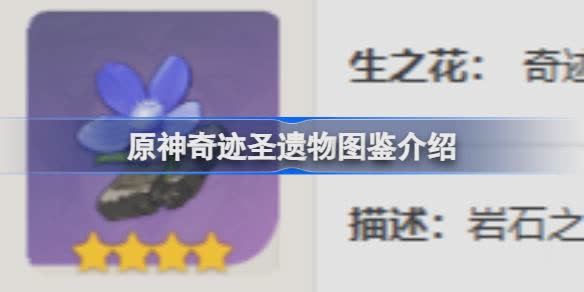 原神奇迹怎么样