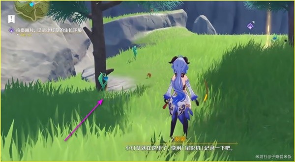 原神安娜冒险记成就怎么完成图十 原神安娜冒险记成就怎么完成图十